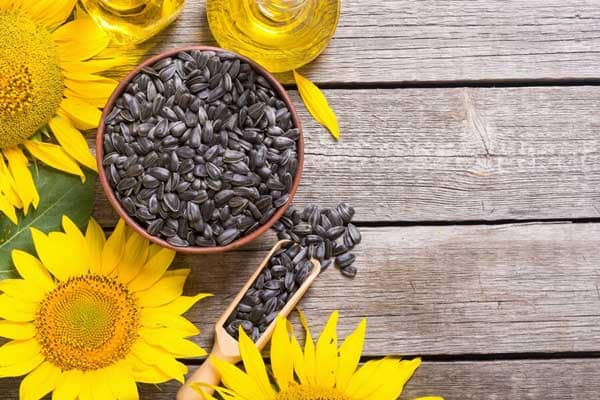 تصویر 5 از خرید تخمه آفتاب گردان + قیمت فروش استثنایی